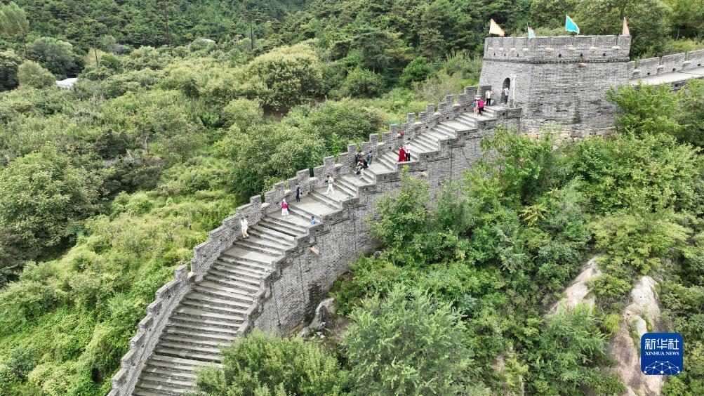 免费送充值